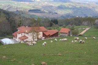 Gîte La ferme de Taverne-Piscine privée chauffée - Saint-Martin-la-Sauveté - 9
