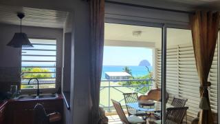 Le chant du Diamant calme vue mer et plage à 50 m - Le Diamant - 8