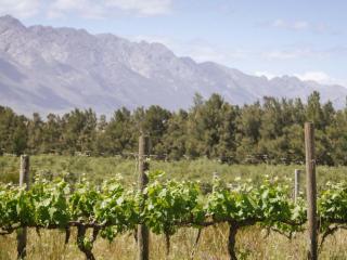 Duikersdrift Winelands Country Escape - Tulbagh - 2