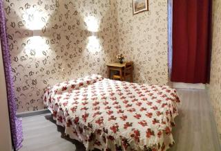 hotel saint fracois xavier - Lourdes - 5