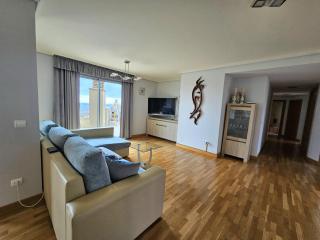 Vista Roja Apartment with Ocean View - 8