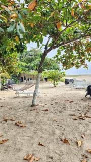 PALM Beach Resort, Alleppey - Alappuzha - 2