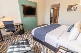 Sonesta Hotel Arequipa - Arequipa - 4