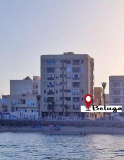Apartamento Boutique Beluga - Garrucha - 9