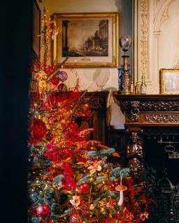 B&B Barabas - Bruges - 5