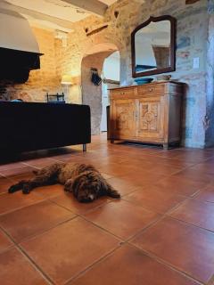 Authentique maison du Quercy - Varaire - 1
