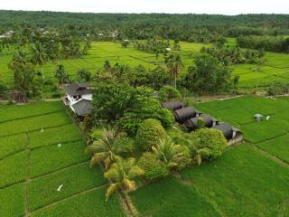 Gino's Place - Guest House & Jungle Trekking - Bukit Lawang - 7