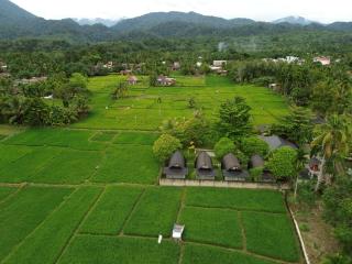 Gino's Place - Guest House & Jungle Trekking - Bukit Lawang - 8