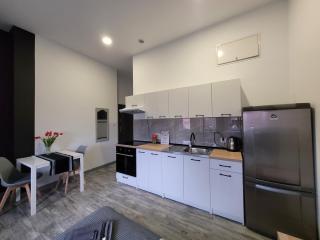 Apartament Centrum w Parku przy Katedrze nr 9 - Kwidzyn - 7