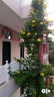 Maharaja farms - Gurgaon - 1