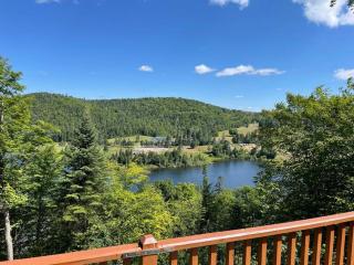 Le Tranquille - Saint-Faustin - 8