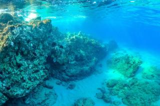 Mana Kai 314 - Experience Stunning Coastal Views on Keawakapu Beach, Split AC - Wailea - 3