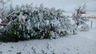 Room 3 Williamstown, Ireland - 6