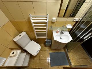 Pienińska Willa Aleksandrówka - 9