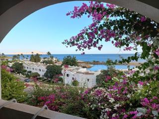 Domina Coral Bay - Salt Lake & Sea view - Sharm-el-Sheikh - 5
