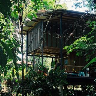 Amazona Lodge - Leticia - 2