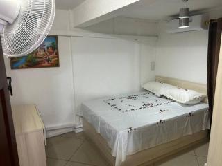 Ashvina Lodge - Flic-en-Flac - 4