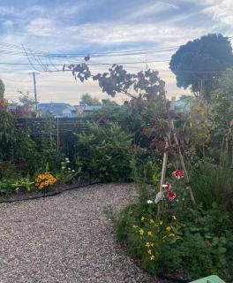 Sunny 3 Bedroom with garden close to hospital - Lower Hutt - 9