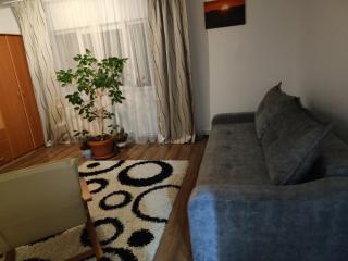 Apartment Farmec - Cluj-Napoca - 5
