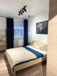 Good Time Apartments Koscielna 33 - Poznań - 9