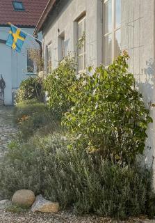 Charming Family House Near Ystads Sandy Beaches - Köpingebro - 8