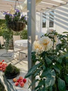 Charming Family House Near Ystads Sandy Beaches - Köpingebro - 6