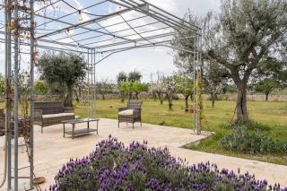 B&B Quattrolinari - Conversano - 1