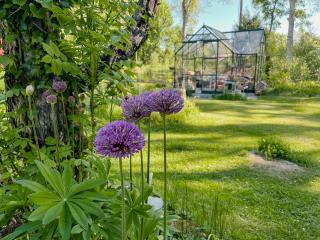 Smålands Idyll In The Lap Of The Forest - Gullabo - 9