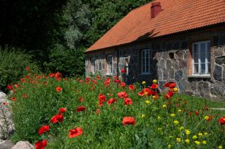 Stylish Farm With Designer Interior In Österlen - - 6