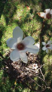 Quinta La Gloria - 7