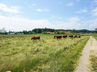 Holiday home SUNNE IV - 7