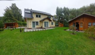 Muschel am Strand - Breege - 6