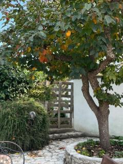 trulli by iluigi - Martina Franca - 9