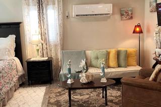 Bright Spacious Studio Near City and Palm Beach - West Palm Beach - 8