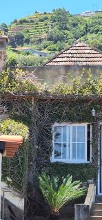 Valentina's House - Porto da Cruz - 1