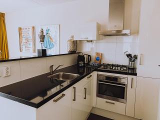 Lake-View apartment close to Amsterdam - Uitgeest - 2