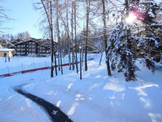 Résidence Le Zig Zag - ZIG ZAG 27 MAE-3841 - La Plagne Tarentaise - 1