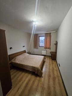 Edelweiss Inn Apartment 20 - Bansko - 5