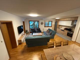 Montis Vlasic Apartment 1 - Vlasic - 8
