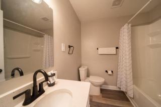 OV Mosaic - Current Suite - 1