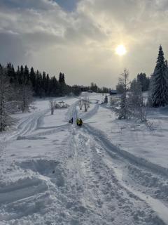 Granlunda Fjällgård - Duved - 9