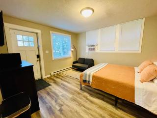 Stay on Spring, Downtown Sioux Falls, Pets Welcome - Sioux Falls - 4