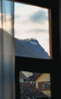 Bark Inn - Bed and Breakfast - Braşov - 9
