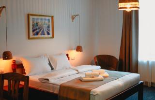 Bark Inn - Bed and Breakfast - Braşov - 8