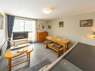 Studio confortable 29m² près des pistes, 4 pers, balcon sud - FR-1-807-107 - 4