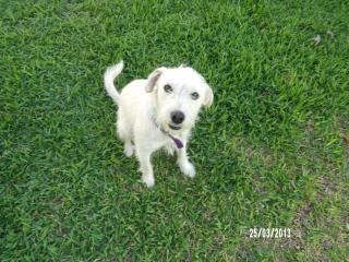 Casa de verano con pileta en la quebrada - 3