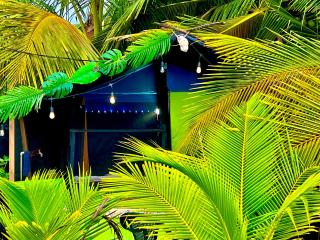 Beachfront Paradise - Manuel Antonio - 7