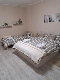Apartman Dream M Zaječar - Zajecar - 7