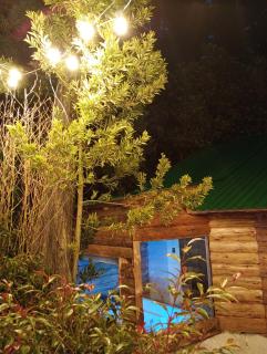 Chalet el Pinar - 3