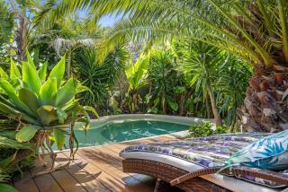Como Palm Retreat - Rye - 8